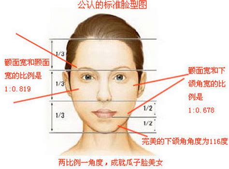 腮骨突出面相|顴骨高代表甚麼？顴骨面相7種：突出、有肉、不對稱。